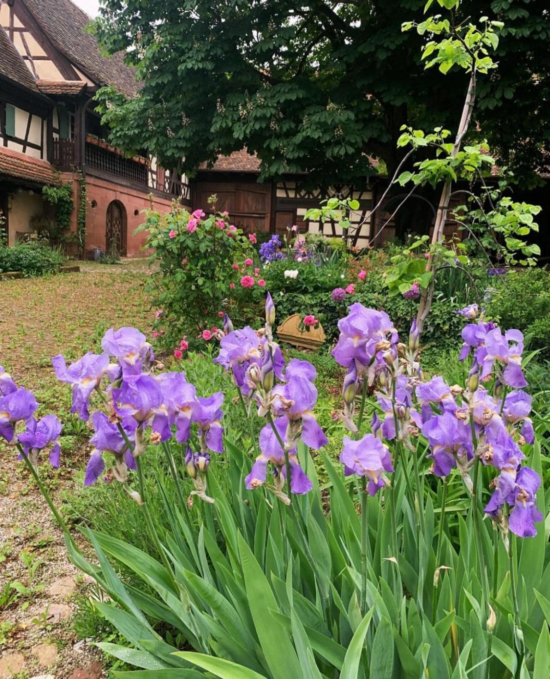 Au Fil Du Temps Bed & Breakfast Imbsheim Екстериор снимка
